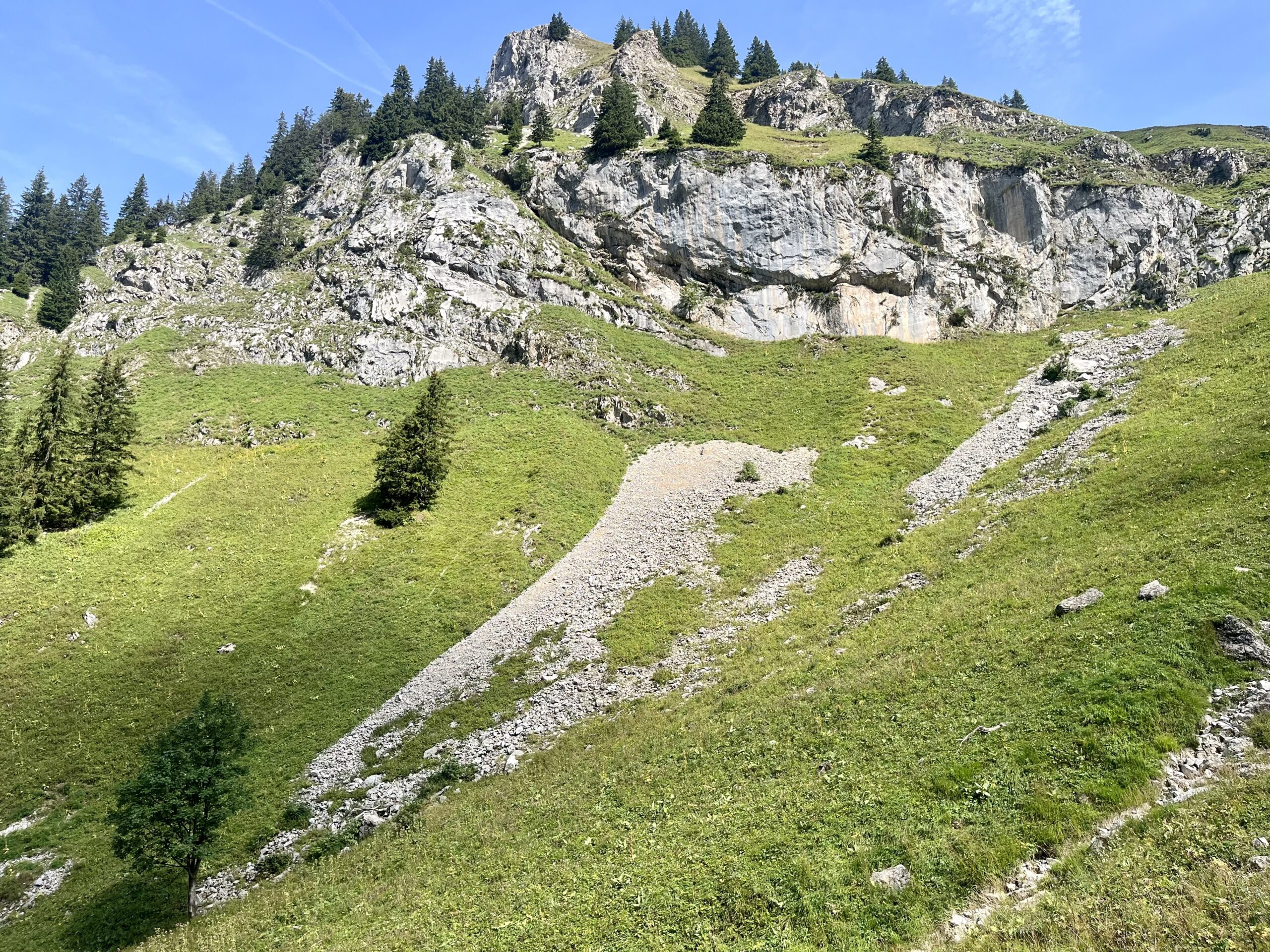 A proximité du GR5 en Haute Savoie sur la commune de Novel