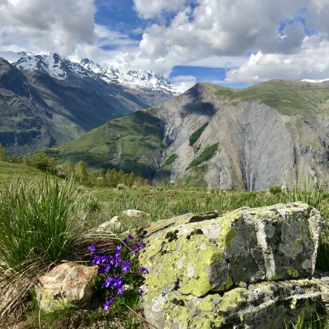 massif de l'Oisans