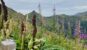 Le Puy Mary dans le cantal