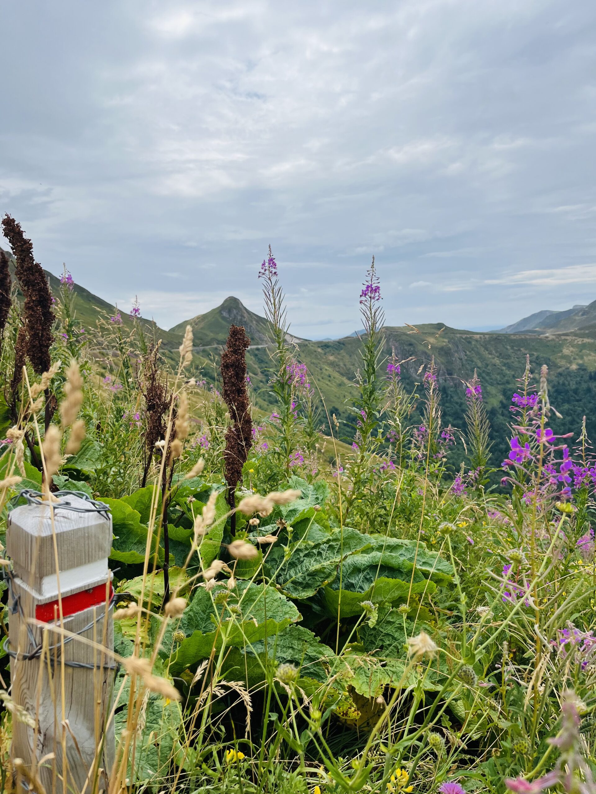 Le Puy Mary dans le cantal