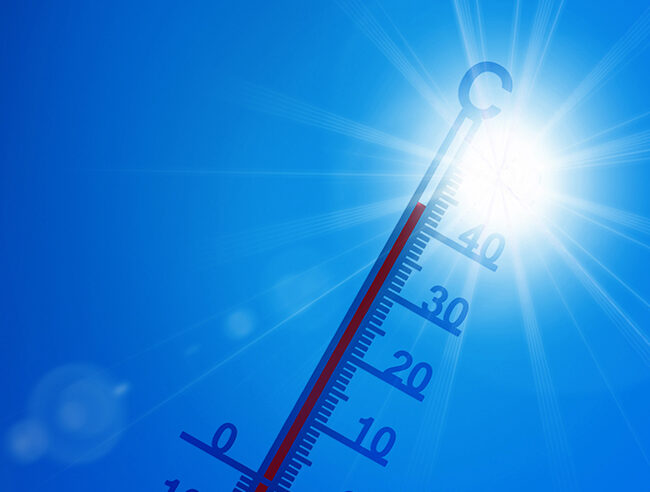 Canicule : activités physiques, attention aux fortes chaleurs et prenez connaissance des précautions à prendre !