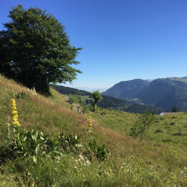 Massif des Bauges ©Romain BUTHEAU