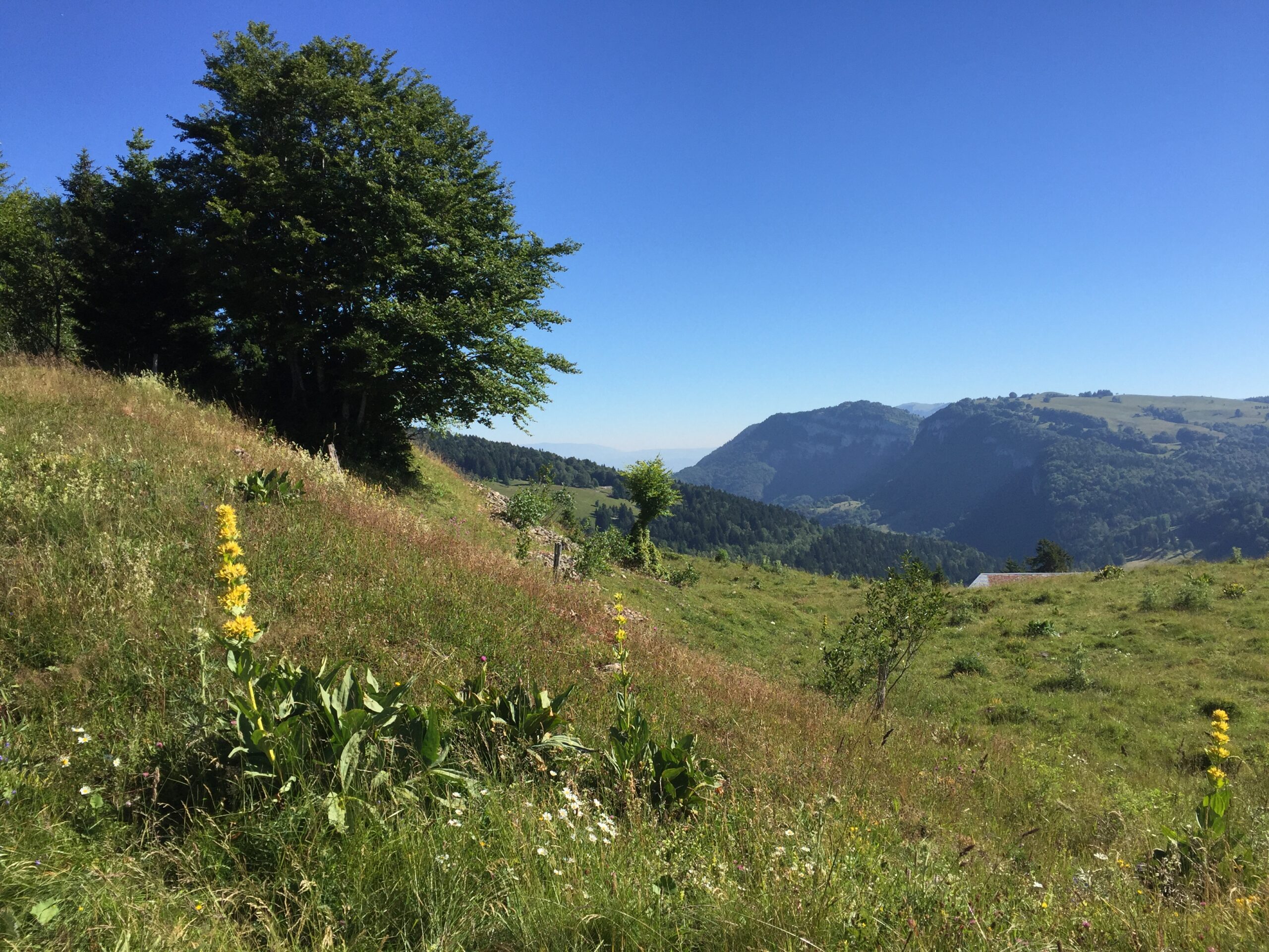 Massif des Bauges ©Romain BUTHEAU